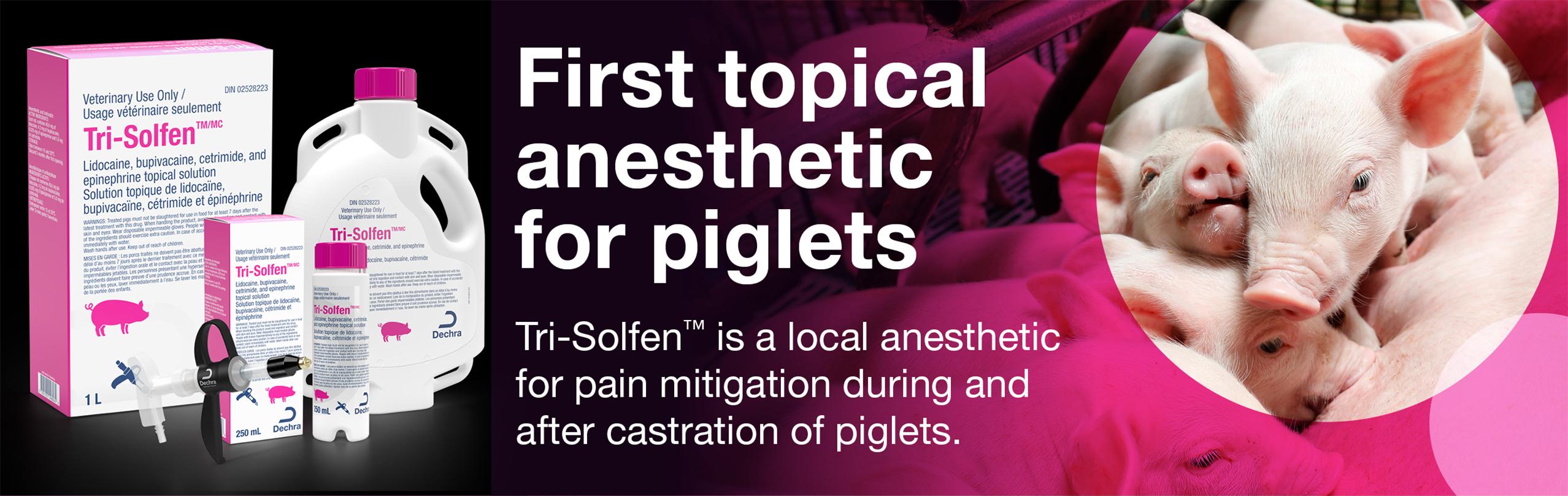 Dechra Veterinary Products