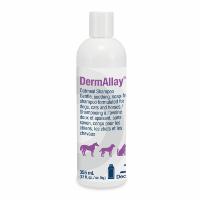 DermAllay Oatmeal Shampoo