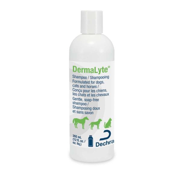 DermaLyte Shampoo Shampoo