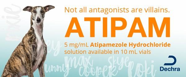 new Atipam